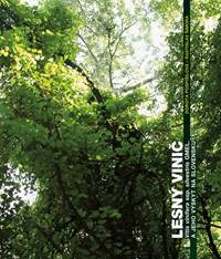 Lesný vinič