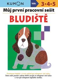 Kniha Bludiště - Můj pracovní sešit