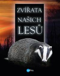 Zvířata našich lesů