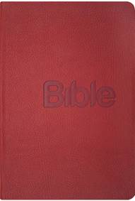 Bible, překlad 21. století (Coral kůže)
