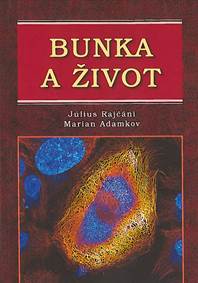 Bunka a život