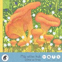 Můj atlas hub - učíme se hrou