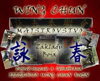 Kniha Wing Chun Majstrovstvo. Základy Boja + DVD