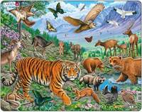 Tiger na letnej Sibíri - puzzle Larsen (36 dielikov)