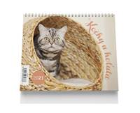 Stolní kalendář - Kočky a koťata 2021