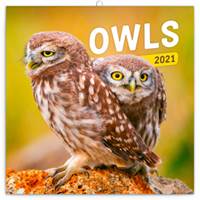 Poznámkový kalendář Sovy 2021
