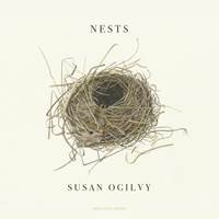 Kniha Nests
