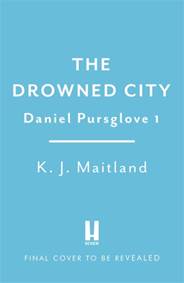 Kniha The Drowned City