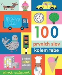 Kniha 100 prvních slov kolem tebe
