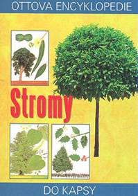 Stromy