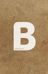 Bible, překlad 21. století XL (2021) kúpite na Knihyprekazdeho.sk