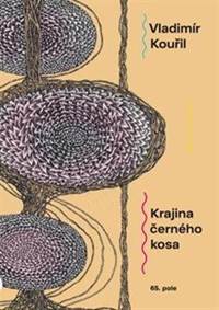 Kniha Krajina černého kosa