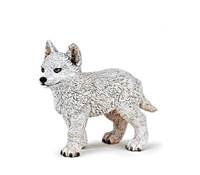 Polární vlk mládě