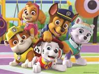 Puzzle Tlapková patrola: Vždy včas 30 dílků
