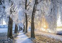 Aleje 2023 - nástěnný kalendář