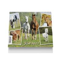 Koně 2023 - stolní kalendář