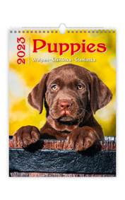 Puppies/Welpen/Štěňátka/Šteniatka 2023 - nástěnný kalendář