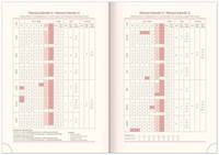 Týdenní diář Silhouette 2023 stříbrný