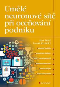 Umělé neuronové sítě při oceňování podniku