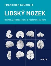 Lidský mozek