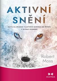 Aktivní snění kúpite na Knihyprekazdeho.sk