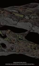 Kniha Posthumanistická planetární (po)etika