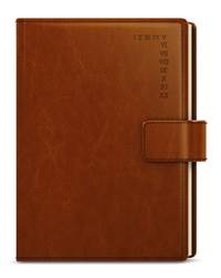 Denní diář 2024 Ctirad s výsekem A5 hnědá