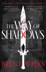 Kniha The Way Of Shadows