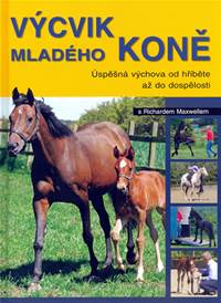 Výchova mladého koně