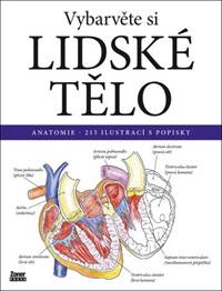 Vybarvěte si lidské tělo