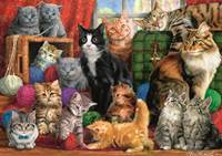 Puzzle Kočičí setkání 1000 dílků