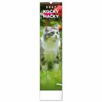 NOTIQUE Nástenný kalendár Mačky 2027, 12 x 48 cm