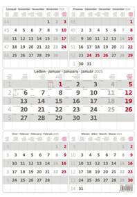 Pětiměsíční kalendář 2025 šedý - nástěnný kalendář