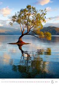 Stromy 2025 - nástěnný kalendář