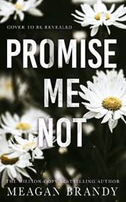 Kniha Promise Me Not