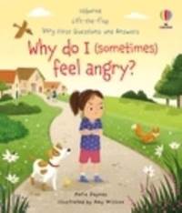 Kniha Very First Questions and Answers: Why do I (sometimes) feel angry?