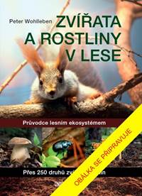 Kniha Zvířata a rostliny v lese