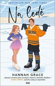Na ledě kúpite na Knihyprekazdeho.sk