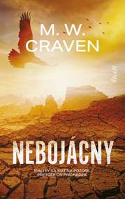 Kniha Nebojácny