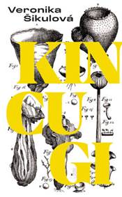 Kniha Kincugi