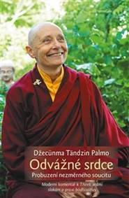 Kniha Odvážné srdce