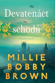 Kniha Devatenáct schodů