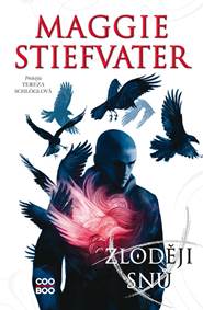 Kniha Zloději snů