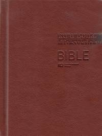 Kniha Bible 1293 hnědá