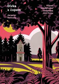 Kniha Dívka s copem