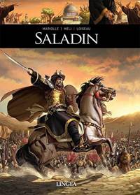 Kniha Saladin