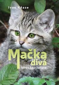 Mačka divá – lovec špecialista