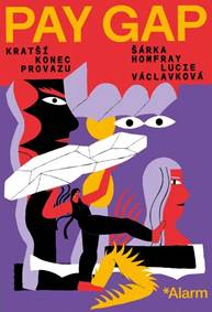 Kniha Pay Gap