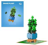 Kniha Plus-Plus Kytky Snake Plant