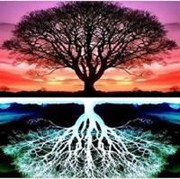 Diamantové malování Strom